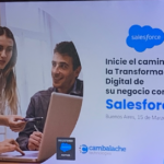 saleforce wavebi